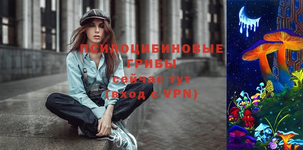 ешки Бугульма