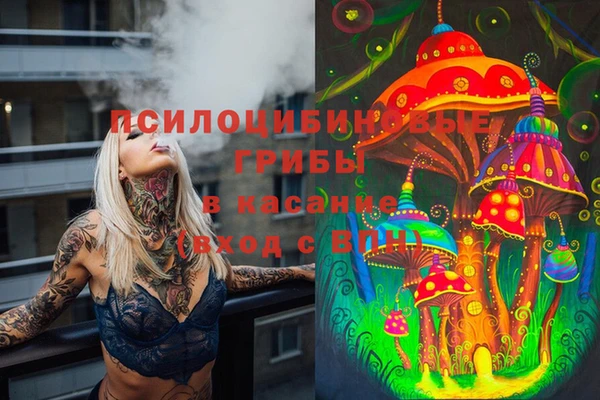 ешки Бугульма